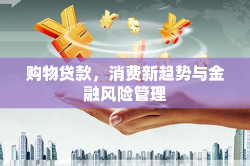 普陀购物贷款，消费新趋势与金融风险管理