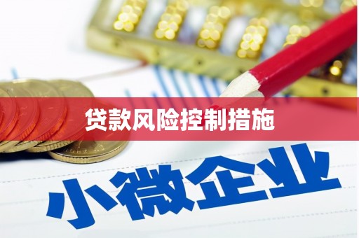 普陀贷款风险控制措施