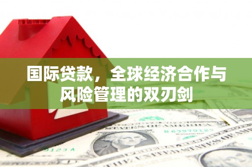 普陀国际贷款，全球经济合作与风险管理的双刃剑