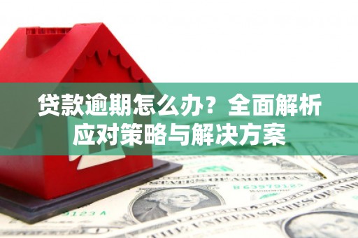 普陀贷款逾期怎么办？全面解析应对策略与解决方案