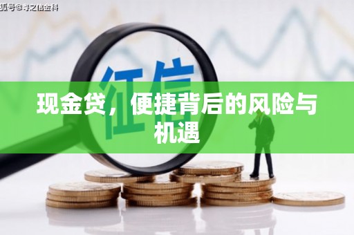普陀现金贷，便捷背后的风险与机遇