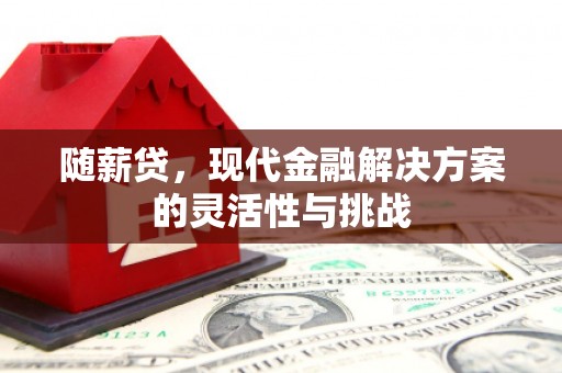 普陀随薪贷，现代金融解决方案的灵活性与挑战