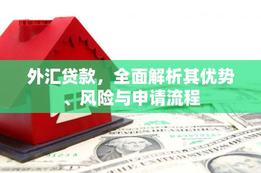 普陀外汇贷款，全面解析其优势、风险与申请流程