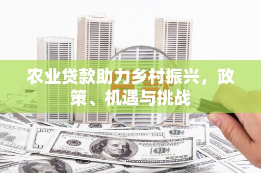 普陀农业贷款助力乡村振兴，政策、机遇与挑战