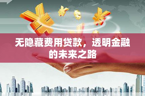 普陀无隐藏费用贷款，透明金融的未来之路