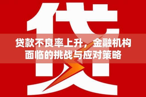 普陀贷款不良率上升，金融机构面临的挑战与应对策略