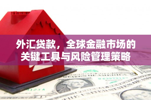 普陀外汇贷款，全球金融市场的关键工具与风险管理策略