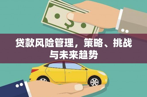 普陀贷款风险管理，策略、挑战与未来趋势