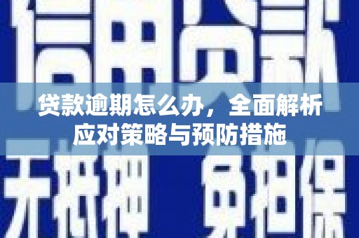 普陀贷款逾期怎么办，全面解析应对策略与预防措施