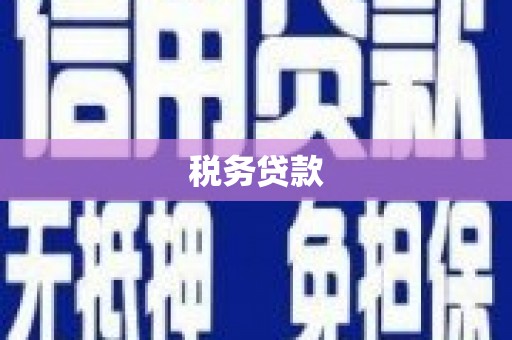 普陀税务贷款