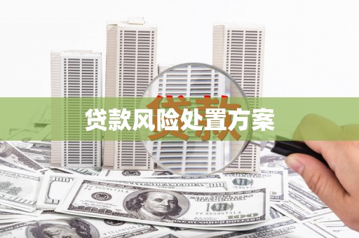 普陀贷款风险处置方案