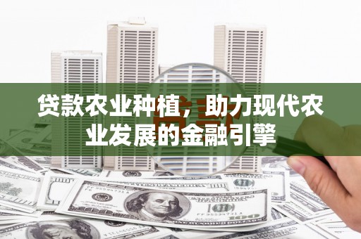 普陀贷款农业种植，助力现代农业发展的金融引擎
