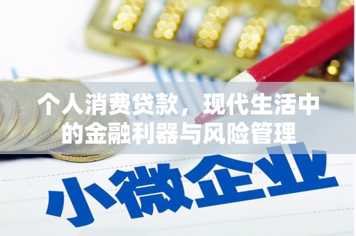 普陀个人消费贷款，现代生活中的金融利器与风险管理