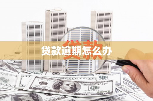 普陀贷款逾期怎么办