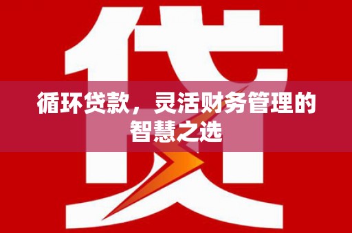 普陀循环贷款，灵活财务管理的智慧之选