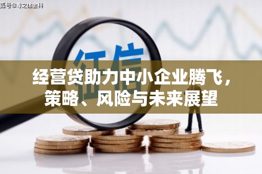 普陀经营贷助力中小企业腾飞，策略、风险与未来展望