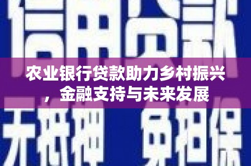 普陀农业银行贷款助力乡村振兴，金融支持与未来发展