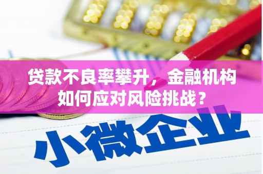 普陀贷款不良率攀升，金融机构如何应对风险挑战？