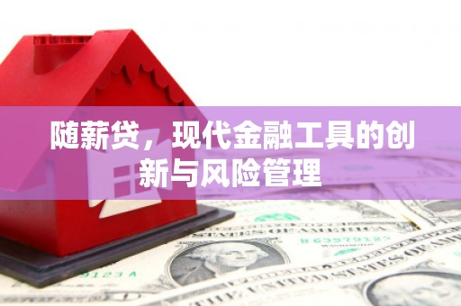 普陀随薪贷，现代金融工具的创新与风险管理