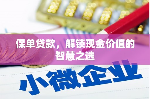 普陀保单贷款，解锁现金价值的智慧之选