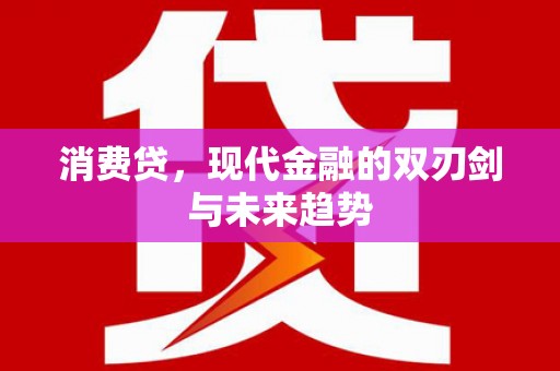 普陀消费贷，现代金融的双刃剑与未来趋势
