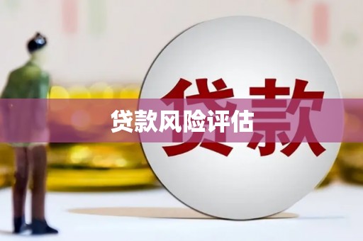 普陀贷款风险评估