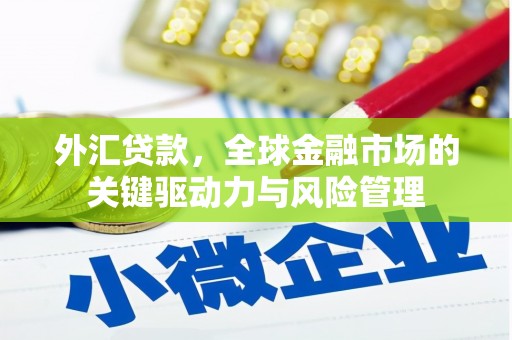 普陀外汇贷款，全球金融市场的关键驱动力与风险管理