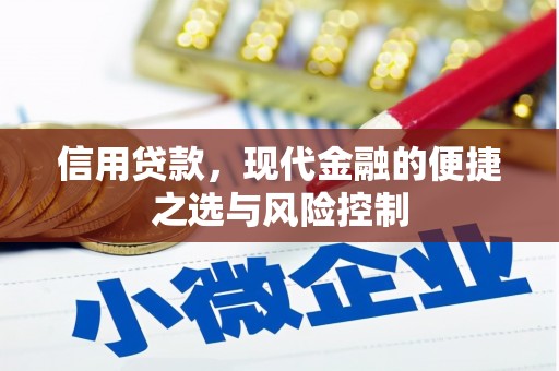 普陀信用贷款，现代金融的便捷之选与风险控制