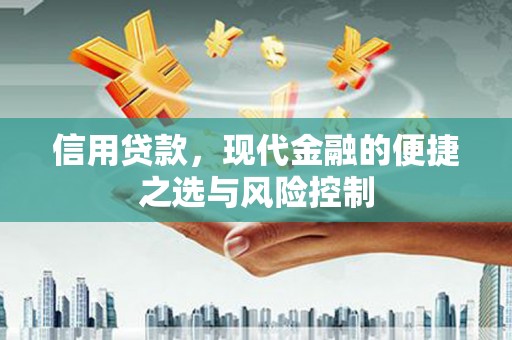 普陀信用贷款，现代金融的便捷之选与风险控制