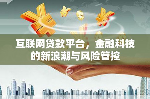 普陀互联网贷款平台，金融科技的新浪潮与风险管控