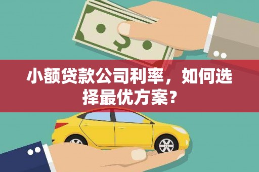 普陀小额贷款公司利率，如何选择最优方案？