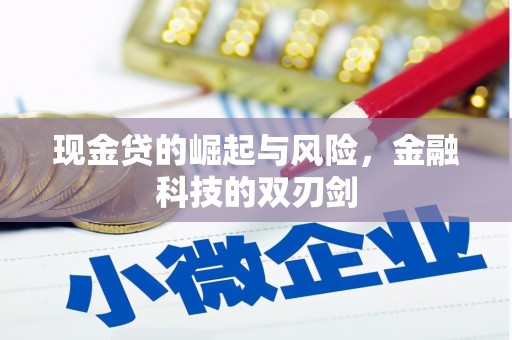 普陀现金贷的崛起与风险，金融科技的双刃剑