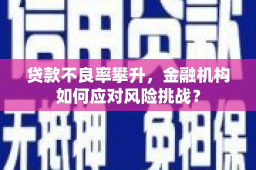 普陀贷款不良率攀升，金融机构如何应对风险挑战？