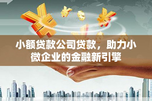 普陀小额贷款公司贷款，助力小微企业的金融新引擎