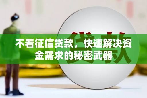 普陀不看征信贷款，快速解决资金需求的秘密武器