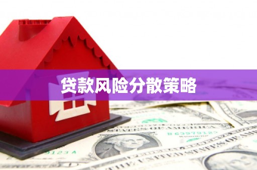 普陀贷款风险分散策略