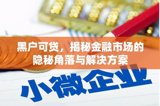 普陀黑户可贷，揭秘金融市场的隐秘角落与解决方案