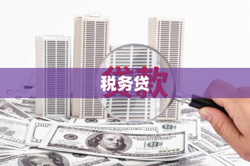 普陀税务贷