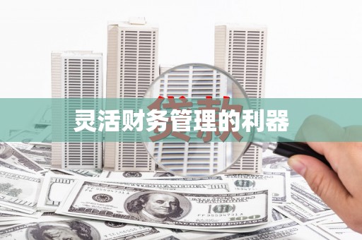 普陀灵活财务管理的利器