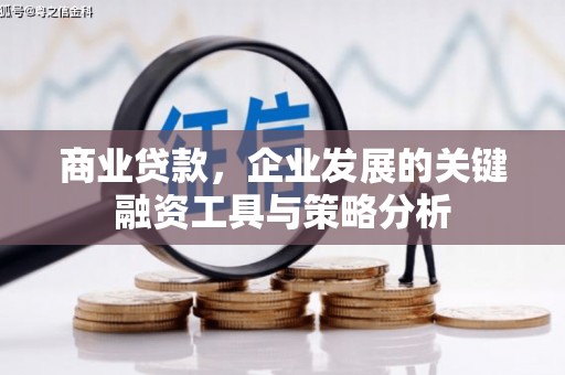 普陀商业贷款，企业发展的关键融资工具与策略分析