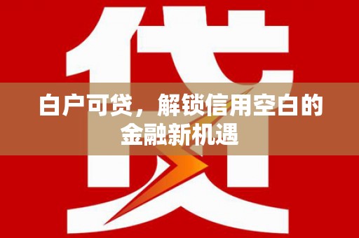 普陀白户可贷，解锁信用空白的金融新机遇