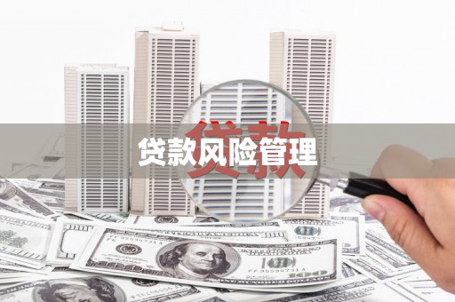 普陀贷款风险管理