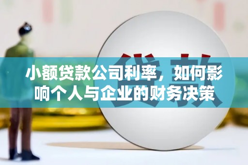 普陀小额贷款公司利率，如何影响个人与企业的财务决策