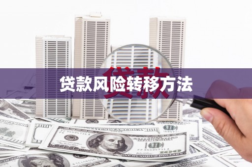 普陀贷款风险转移方法