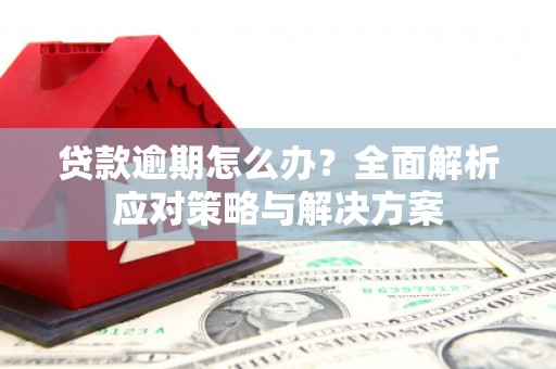 普陀贷款逾期怎么办？全面解析应对策略与解决方案