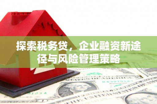 普陀探索税务贷，企业融资新途径与风险管理策略