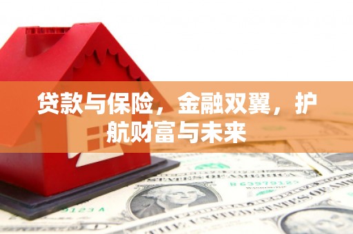 普陀贷款与保险，金融双翼，护航财富与未来