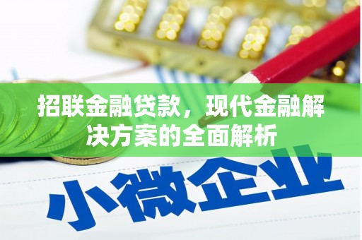 普陀招联金融贷款，现代金融解决方案的全面解析