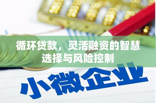 普陀循环贷款，灵活融资的智慧选择与风险控制