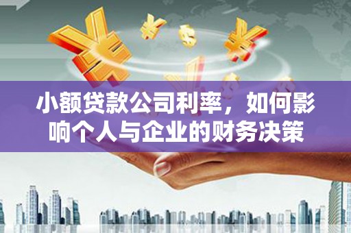 普陀小额贷款公司利率，如何影响个人与企业的财务决策